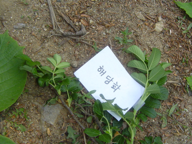 하나조경 이미지