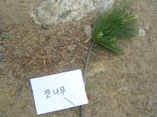 하나조경 이미지